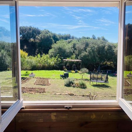 Ruralcamomo Villa Cádiz Eksteriør billede