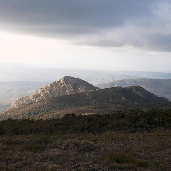 Ruralcamomo Villa Cádiz Eksteriør billede