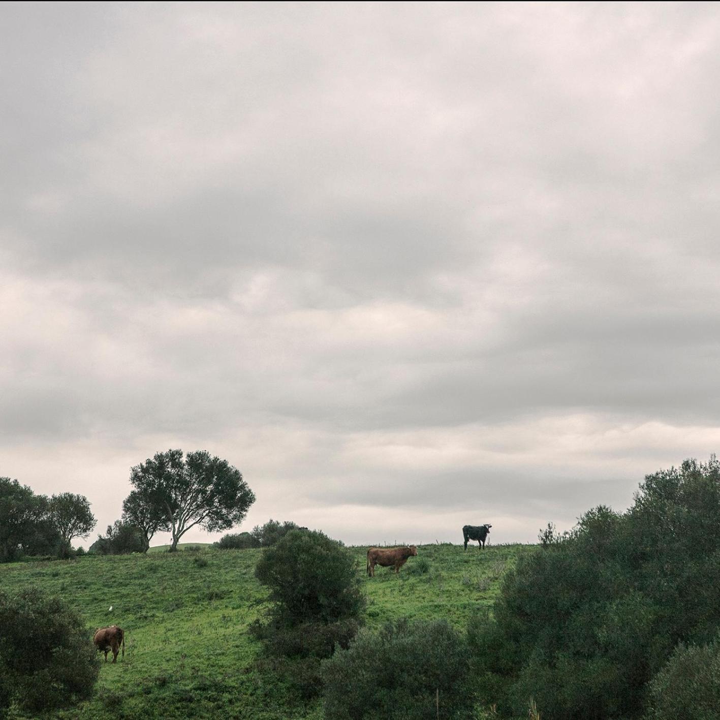 Ruralcamomo Villa Cádiz Eksteriør billede