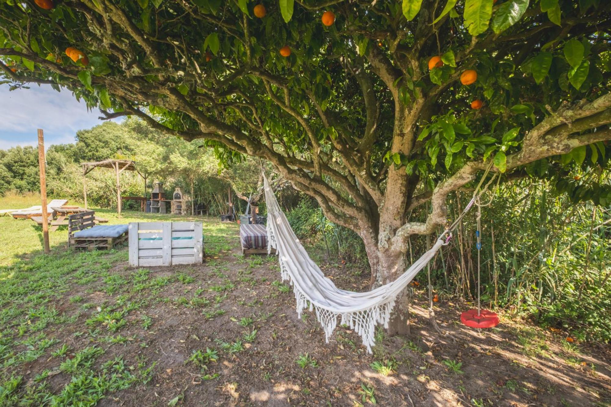 Ruralcamomo Villa Cádiz Eksteriør billede