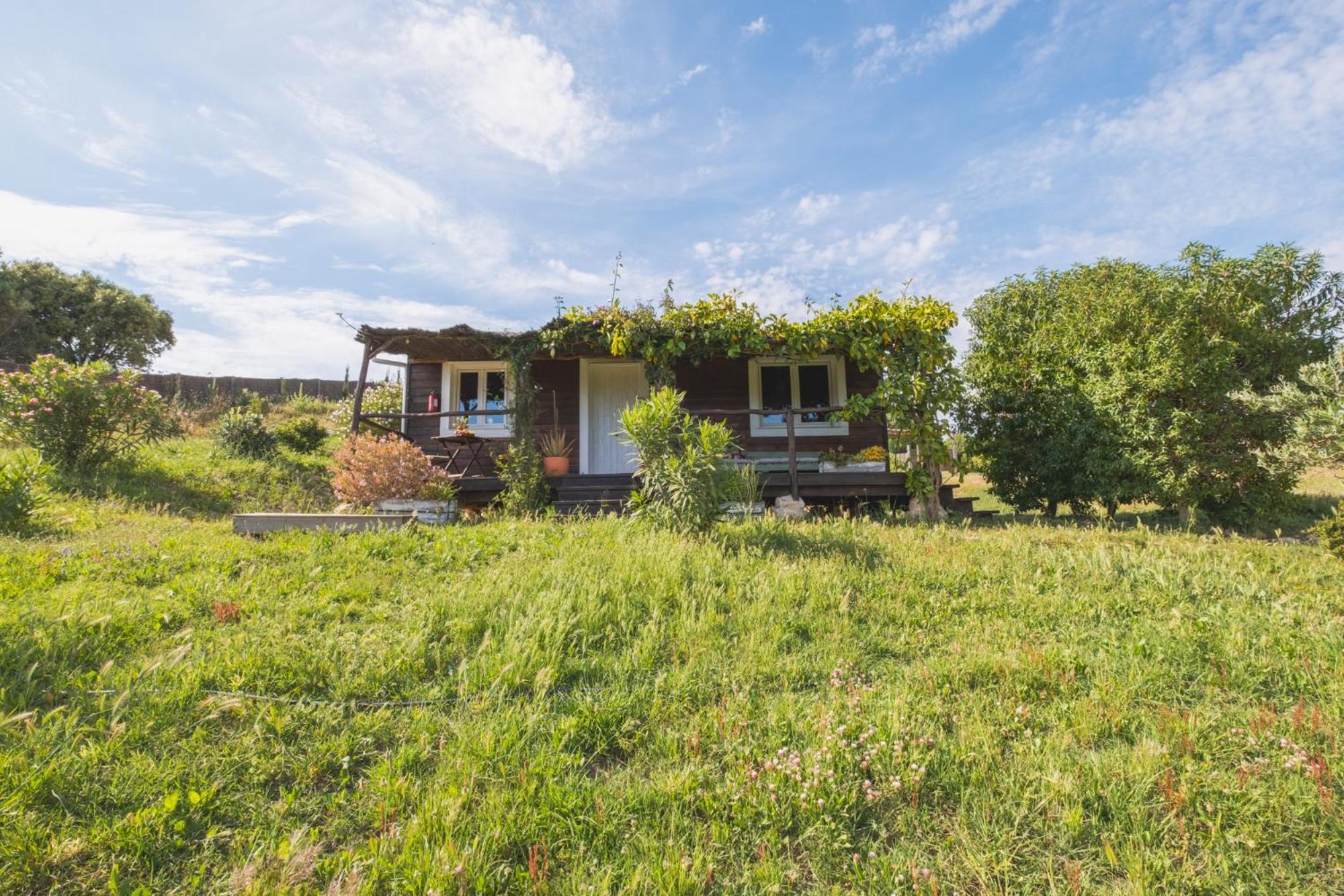 Ruralcamomo Villa Cádiz Eksteriør billede