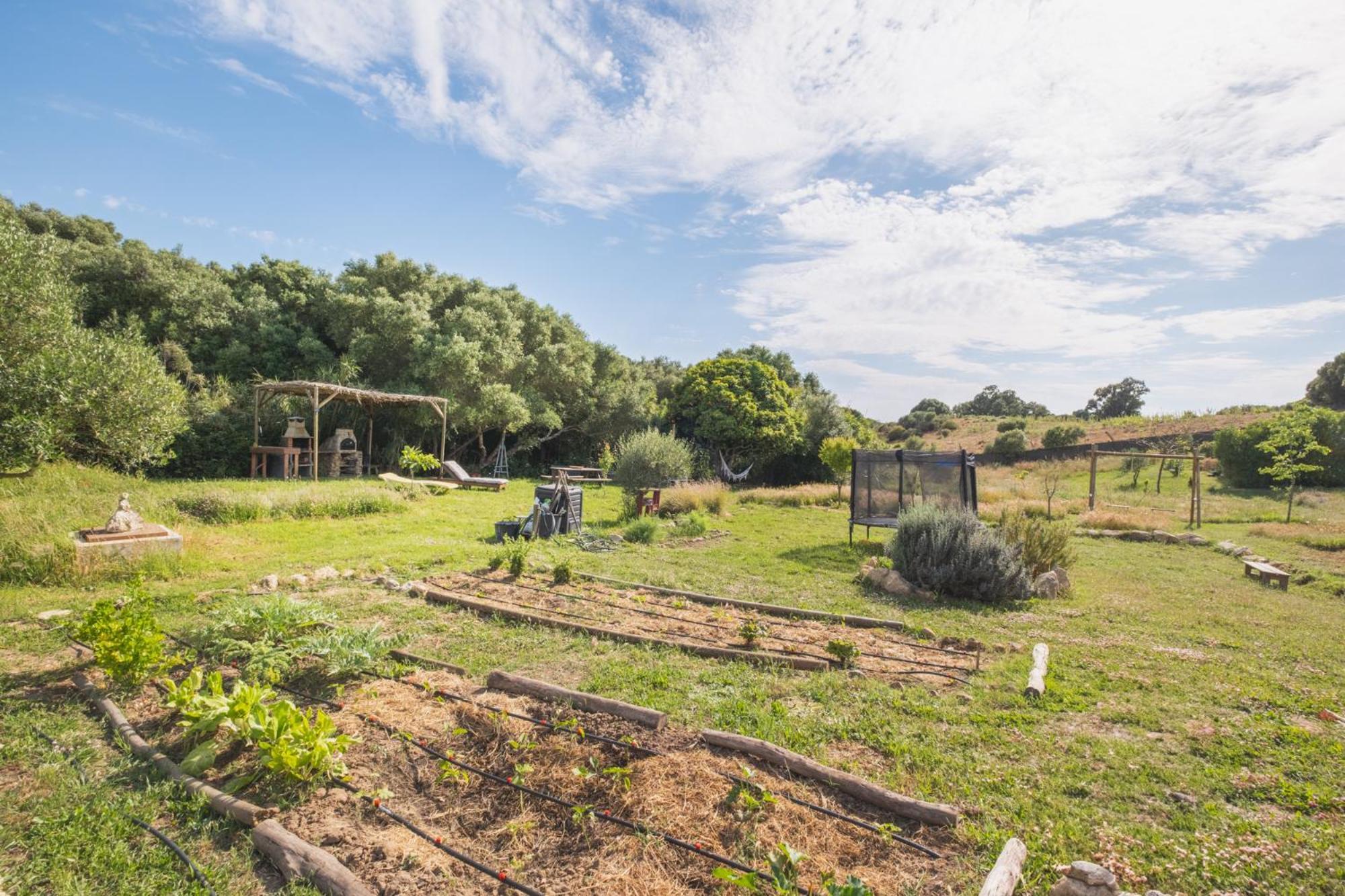 Ruralcamomo Villa Cádiz Eksteriør billede