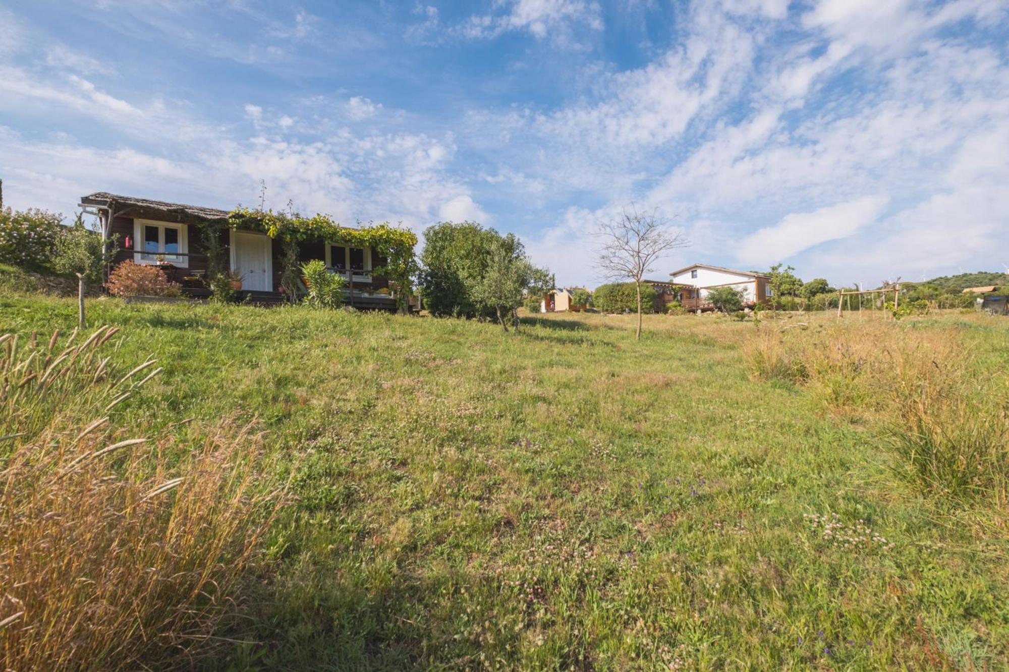 Ruralcamomo Villa Cádiz Eksteriør billede