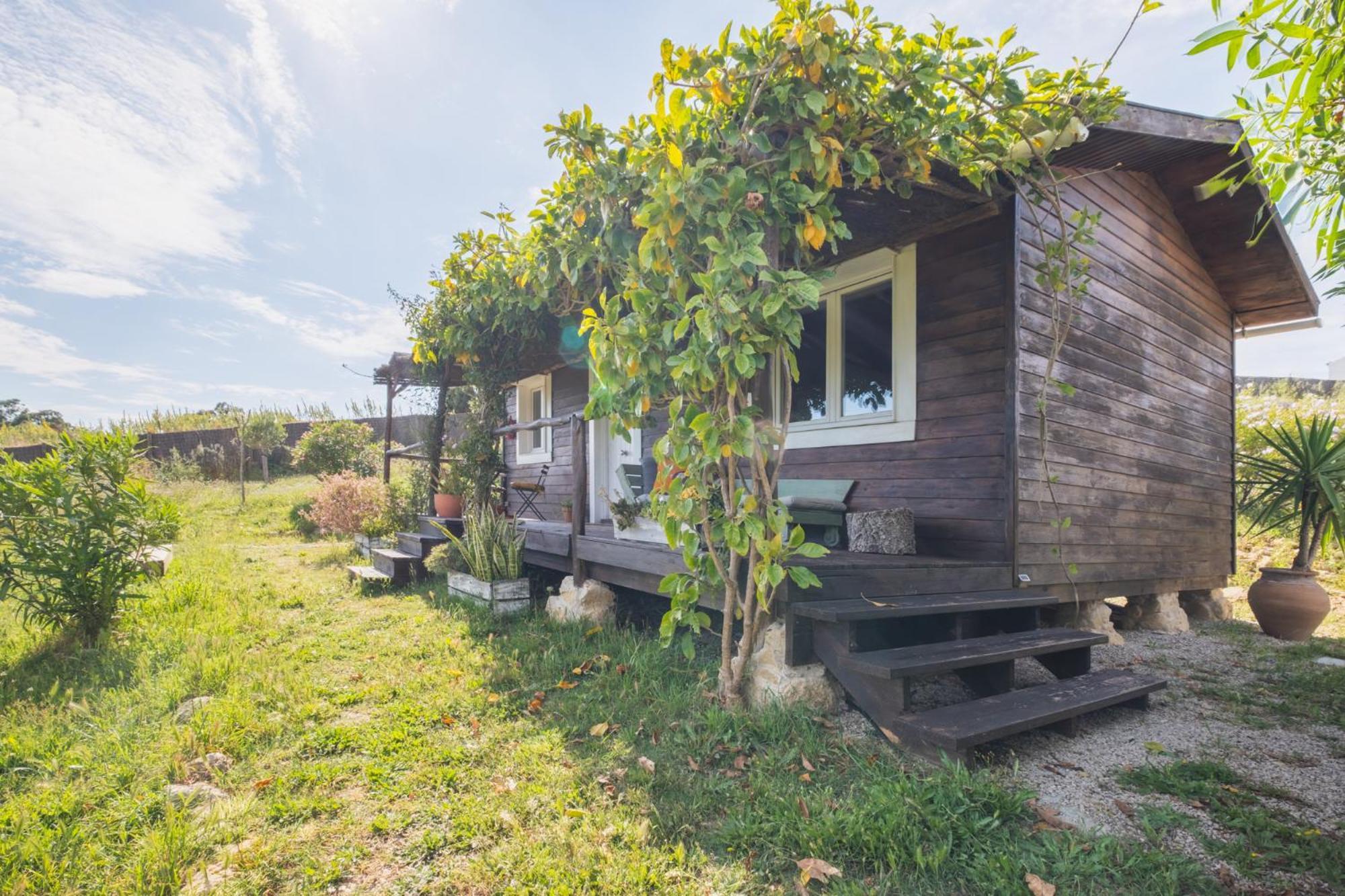 Ruralcamomo Villa Cádiz Eksteriør billede